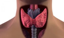 Лекарство от аритмии, которое убивает щитовидную железу: Мясников